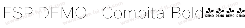 FSP DEMO   Compita Bold字体转换